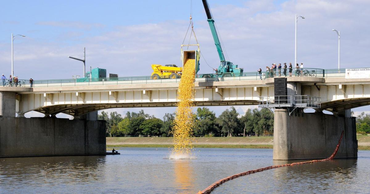 URS Rubber Duck Regatta moment