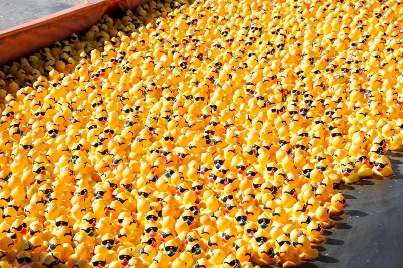 URS Rubber Duck Regatta moment